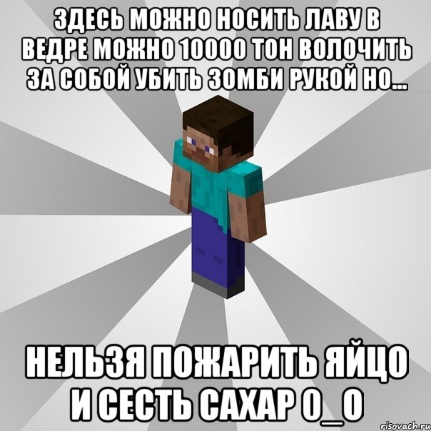 здесь можно носить лаву в ведре можно 10000 тон волочить за собой убить зомби рукой но... нельзя пожарить яйцо и сесть сахар 0_o, Мем Типичный игрок Minecraft