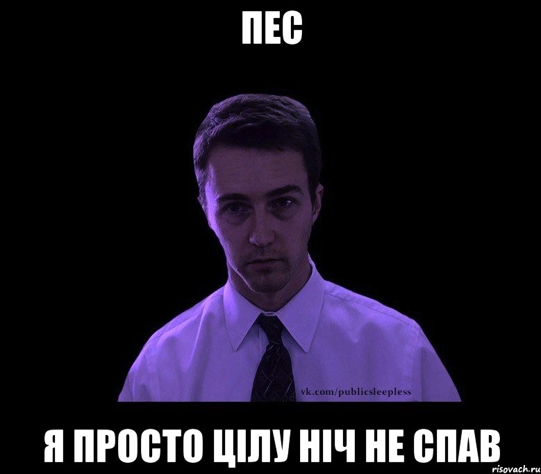 пес я просто цілу ніч не спав, Мем типичный недосыпающий