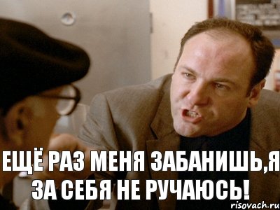 Ещё раз меня забанишь,я за себя не ручаюсь!, Комикс tony soprano