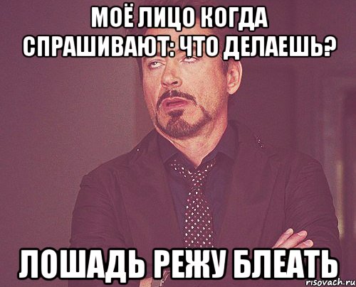 моё лицо когда спрашивают: что делаешь? лошадь режу блеать, Мем твое выражение лица