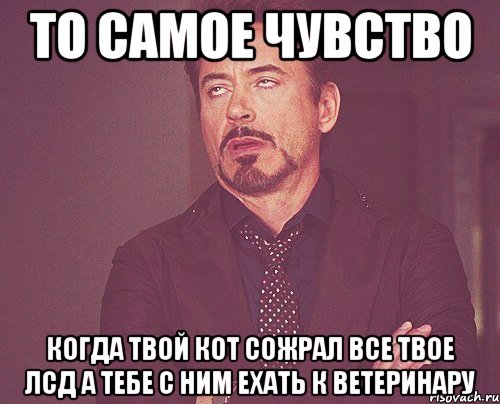 то самое чувство когда твой кот сожрал все твое лсд а тебе с ним ехать к ветеринару, Мем твое выражение лица