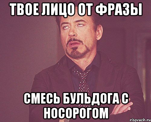 твое лицо от фразы смесь бульдога с носорогом, Мем твое выражение лица