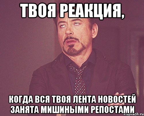 твоя реакция, когда вся твоя лента новостей занята мишиными репостами, Мем твое выражение лица