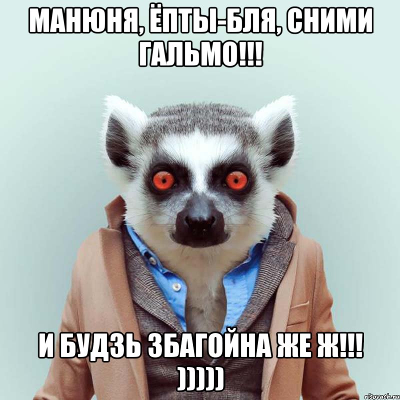 манюня, ёпты-бля, сними гальмо!!! и будзь збагойна же ж!!! ))))), Мем укуренный лемур