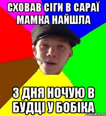 сховав сіги в сараї мамка найшла 3 дня ночую в будці у бобіка, Мем умный гопник