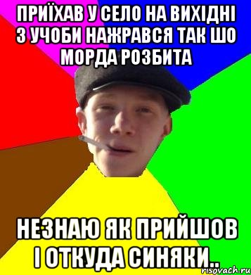 приїхав у село на вихідні з учоби нажрався так шо морда розбита незнаю як прийшов і откуда синяки.., Мем умный гопник