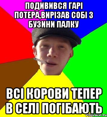 подивився гарі потера,вирізав собі з бузини палку всі корови тепер в селі погібають, Мем умный гопник