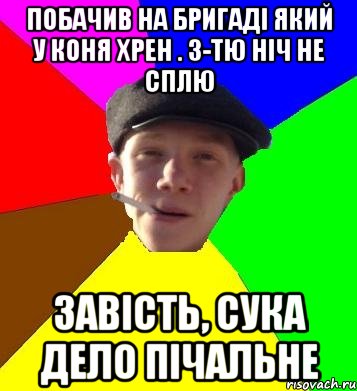 побачив на бригаді який у коня хрен . 3-тю ніч не сплю завість, сука дело пічальне, Мем умный гопник