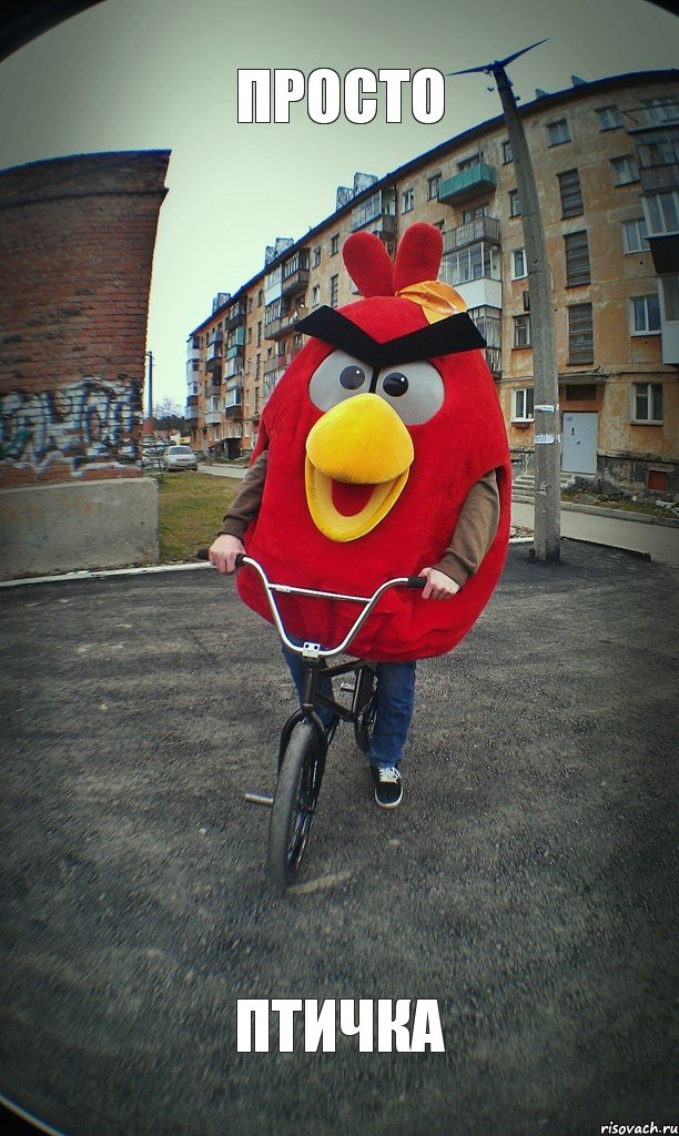 Просто Птичка, Комикс  Angry bird на велике