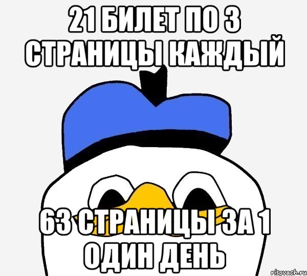 21 билет по 3 страницы каждый 63 страницы за 1 один день, Мем Утка