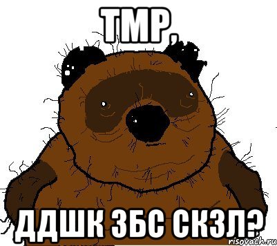 тмр, ддшк збс скзл?, Мем  Винни збс