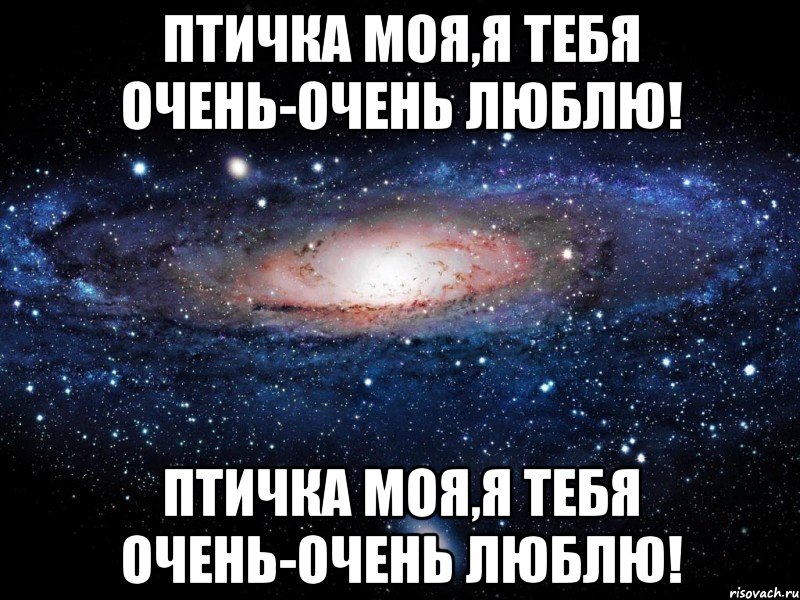 птичка моя,я тебя очень-очень люблю! птичка моя,я тебя очень-очень люблю!, Мем Вселенная