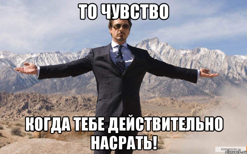 то чувство когда тебе действительно насрать!, Мем железный человек