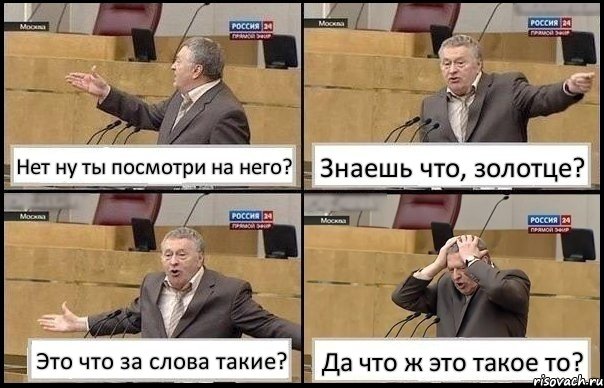 Нет ну ты посмотри на него? Знаешь что, золотце? Это что за слова такие? Да что ж это такое то?, Комикс Жирик в шоке хватается за голову