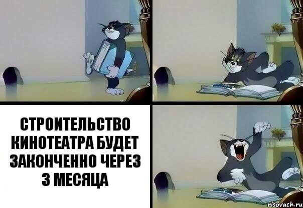 Строительство кинотеатра будет законченно через 3 месяца, Комикс  том прочитал в книге