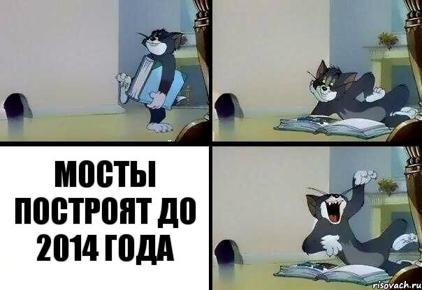 Мосты построят до 2014 года