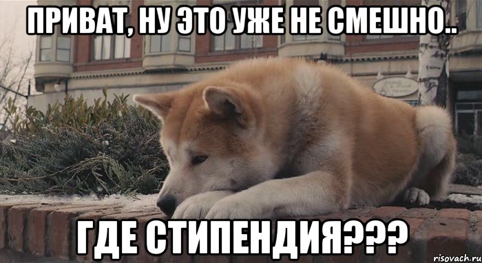 Приват, ну это уже не смешно.. Где стипендия???, Мем  лежащий хатико