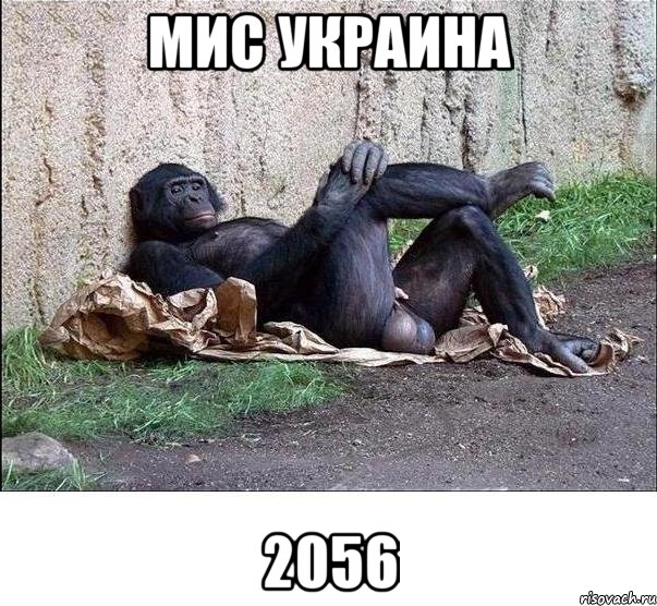 мис украина 2056