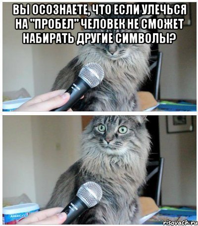 Вы осознаете, что если улечься на "пробел" человек не сможет набирать другие символы? , Комикс  кот с микрофоном