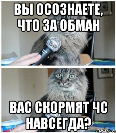 вы осознаете, что за обман вас скормят ЧС навсегда?, Комикс  кот с микрофоном