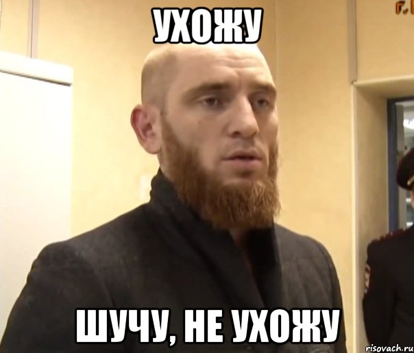 Ухожу Шучу, не ухожу, Мем Шучу