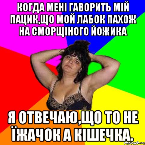 когда мені гаворить мій пацик,що мой лабок пахож на сморщіного йожика я отвечаю,що то не їжачок а кішечка., Мем Чотка мала