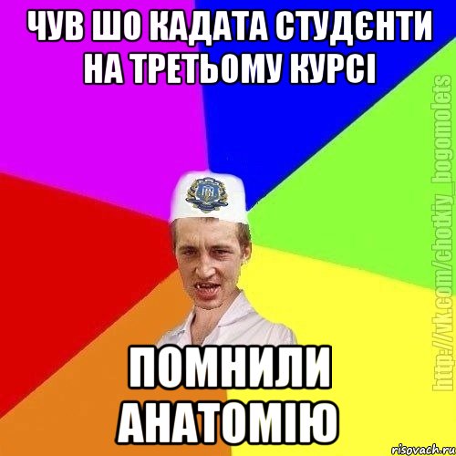 Чув шо кадата студєнти на третьому курсі Помнили анатомію, Мем Чоткий пацан