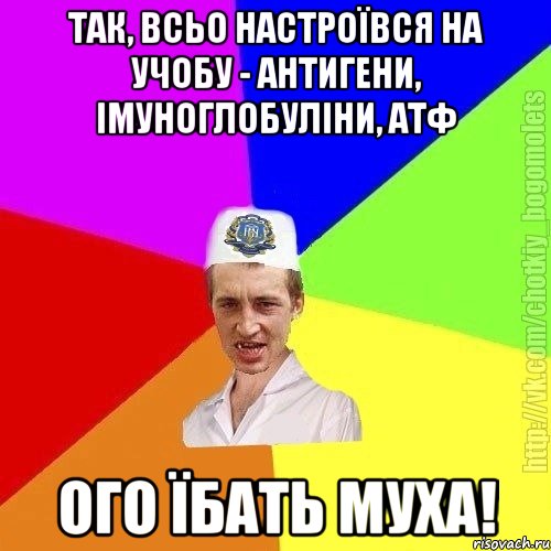 Так, всьо настроївся на учобу - антигени, імуноглобуліни, атф Ого їбать муха!, Мем Чоткий пацан