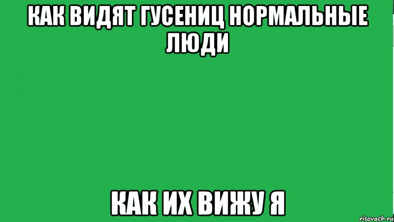 Нормально видно. Как видит нормальный человек. Как вижу я как видят другие. Мем как меня видят другие. Мем что видит нормальный человек.