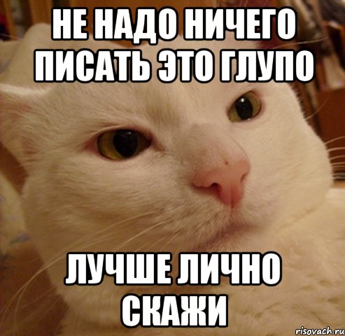 Больше ничего не показывать. Ничего не надо. Ничего не надо картинки. Ничего не надо ничего. Не пиши ничего.