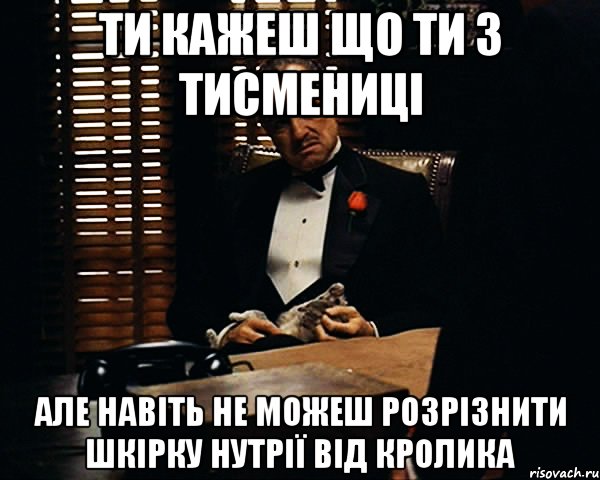 ти кажеш що ти з тисмениці але навіть не можеш розрізнити шкірку нутрії від кролика, Мем Дон Вито Корлеоне