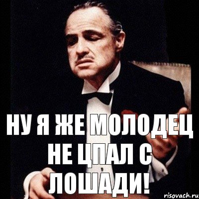 Молодцу не укор. Не молодец. Ты молодец. Ты же молодец. Какой же я молодец.