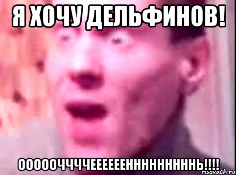 Я хочу дельфинов! ОООООЧЧЧЧЕЕЕЕЕЕНННННННННЬ!!!!, Мем Дверь мне запили