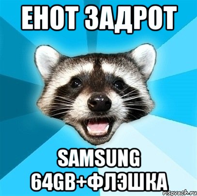 Енот Задрот Samsung 64Gb+флэшка, Мем Енот-Каламбурист