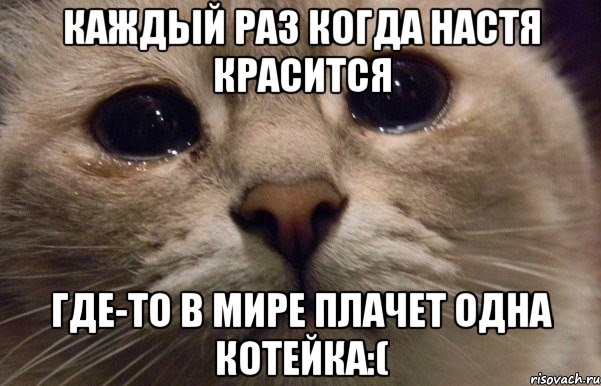 каждый раз когда настя красится где-то в мире плачет одна котейка:(, Мем   В мире грустит один котик