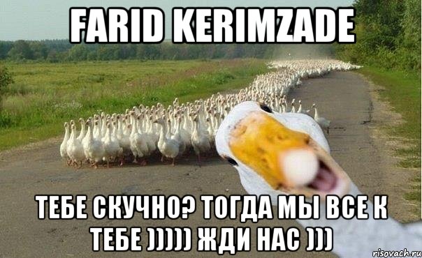 Farid Kerimzade тебе скучно? Тогда мы все к тебе ))))) жди нас ))), Мем гуси