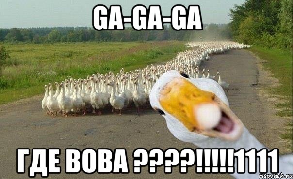 GA-GA-GA ГДЕ ВОВА ????!!!!!1111, Мем гуси