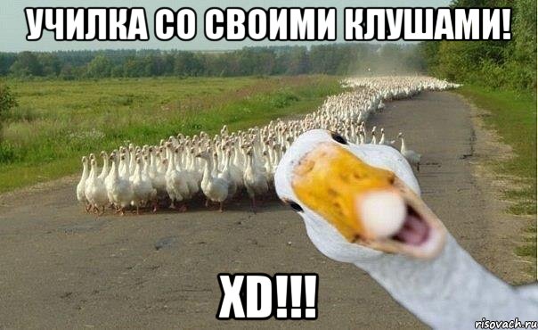 училка со своими клушами! xD!!!, Мем гуси