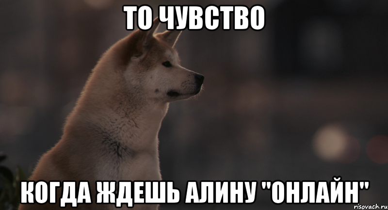 Что ответить на жду фото