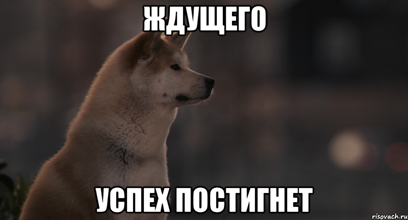 http://risovach.ru/upload/2013/11/mem/hatiko_34544761_big_.png