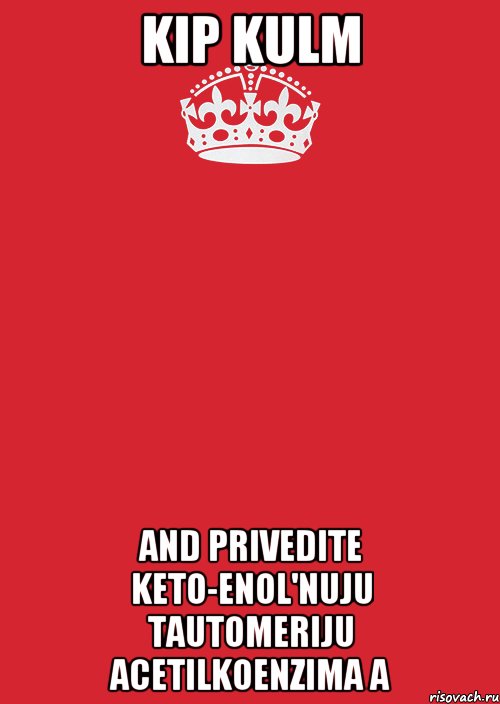 Kip KuLM and privedite keto-enol'nuju tautomeriju acetilkoenzima A, Комикс Keep Calm 3