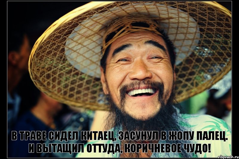 В траве сидел китаец, Засунул в жопу палец. И вытащил оттуда, Коричневое чудо!, Комикс Китаец