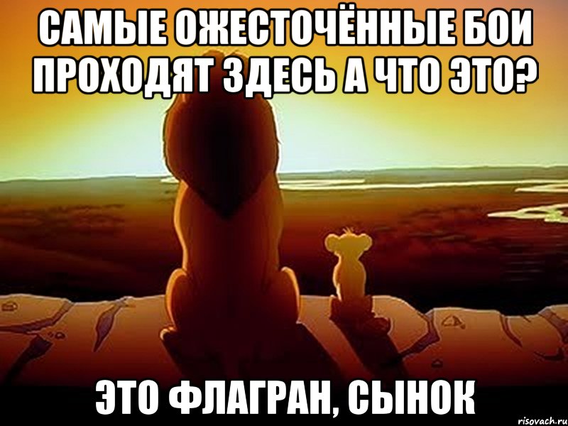 самые ожесточённые бои проходят здесь а что это? это флагран, сынок