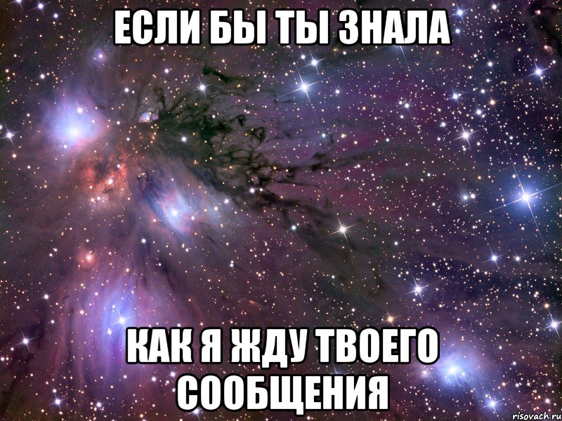 Жду сообщения