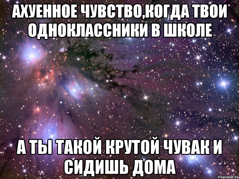 Твой одноклассник. Ахуенные статусы. Ахуенные цитаты. Твои одноклассницы. Ахуенное чувство юмора.