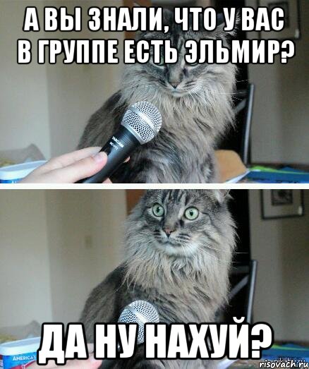 а вы знали, что у вас в группе есть эльмир? да ну нахуй?, Комикс  кот с микрофоном