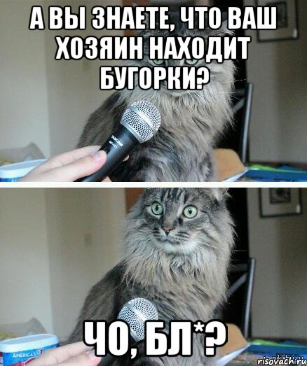 А вы знаете, что Ваш хозяин находит бугорки? Чо, бл*?, Комикс  кот с микрофоном