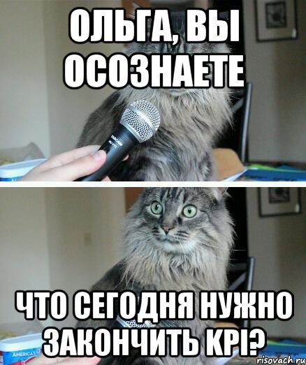 ольга, вы осознаете что сегодня нужно закончить kpi?, Комикс  кот с микрофоном