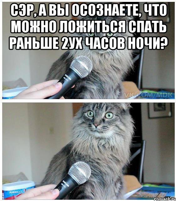 сэр, а вы осознаете, что можно ложиться спать раньше 2ух часов ночи? , Комикс  кот с микрофоном