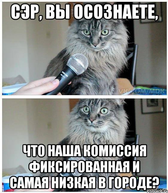 сэр, вы осознаете, что наша комиссия фиксированная и самая низкая в городе?, Комикс  кот с микрофоном